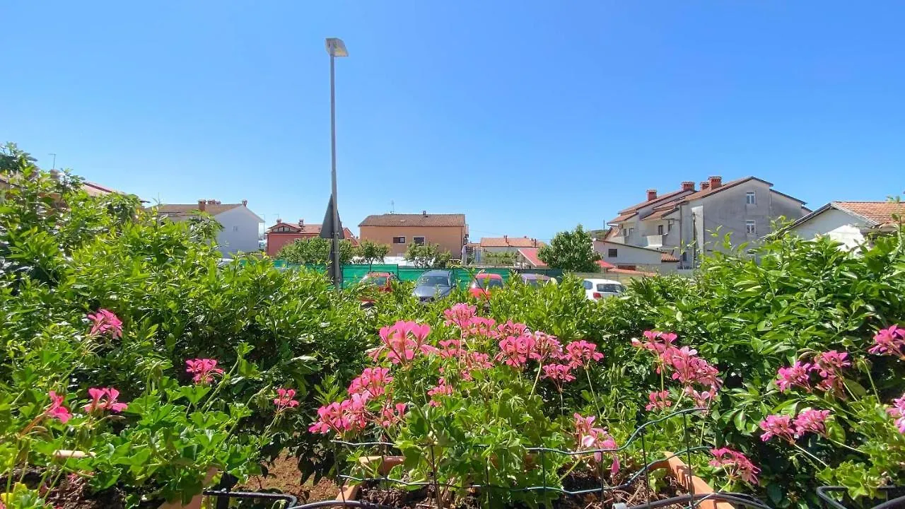 Vinka A3 Lägenhet Novigrad Istria